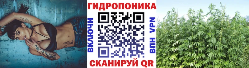 Купить закладки  Шали  Канабис ГИДРОПОН 